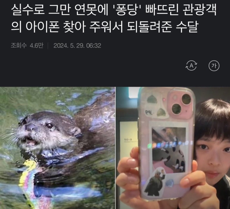 애니메이커 이미지