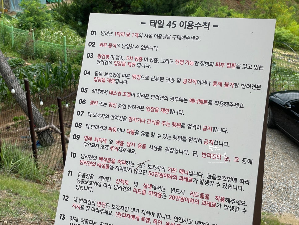 용인 기흥 애견카페 테일45, 5000평 대형견 운동장 후기 — 사진 5