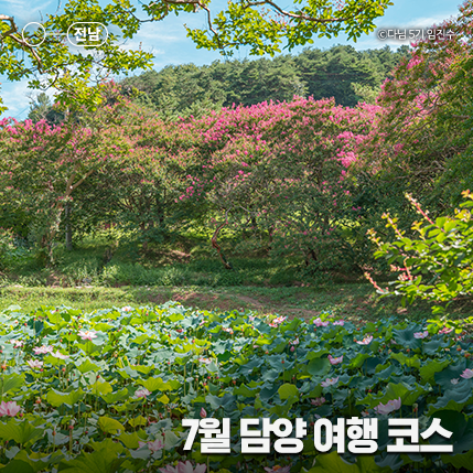 담양여행 이미지
