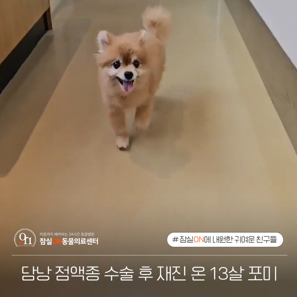 포미병과 이미지