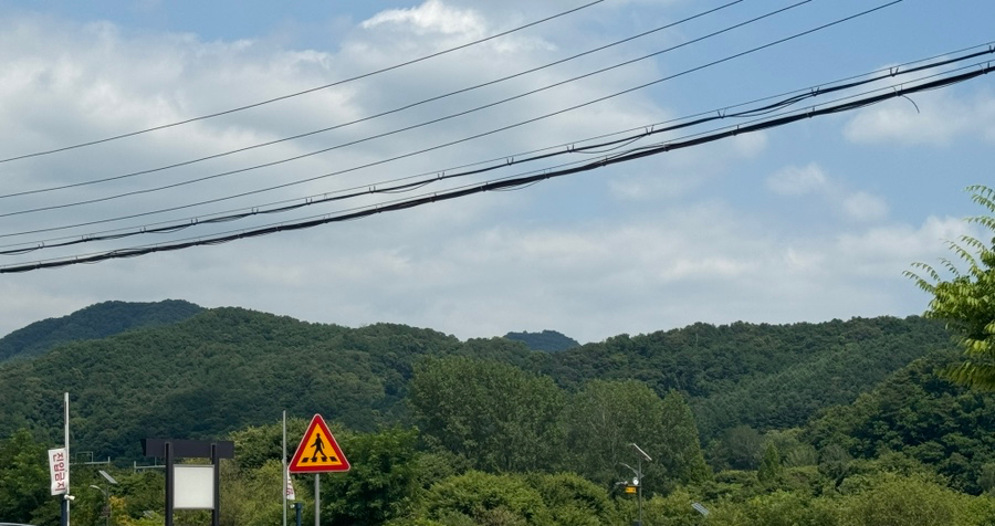 델레떼 이미지