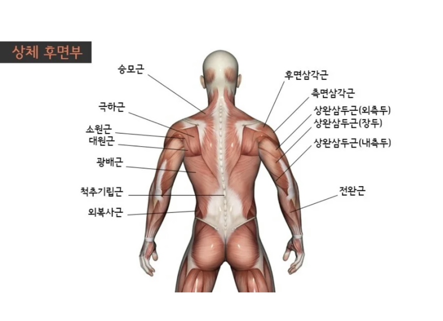 에이치짐투 이미지