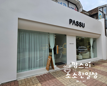 파슈헤어 이미지