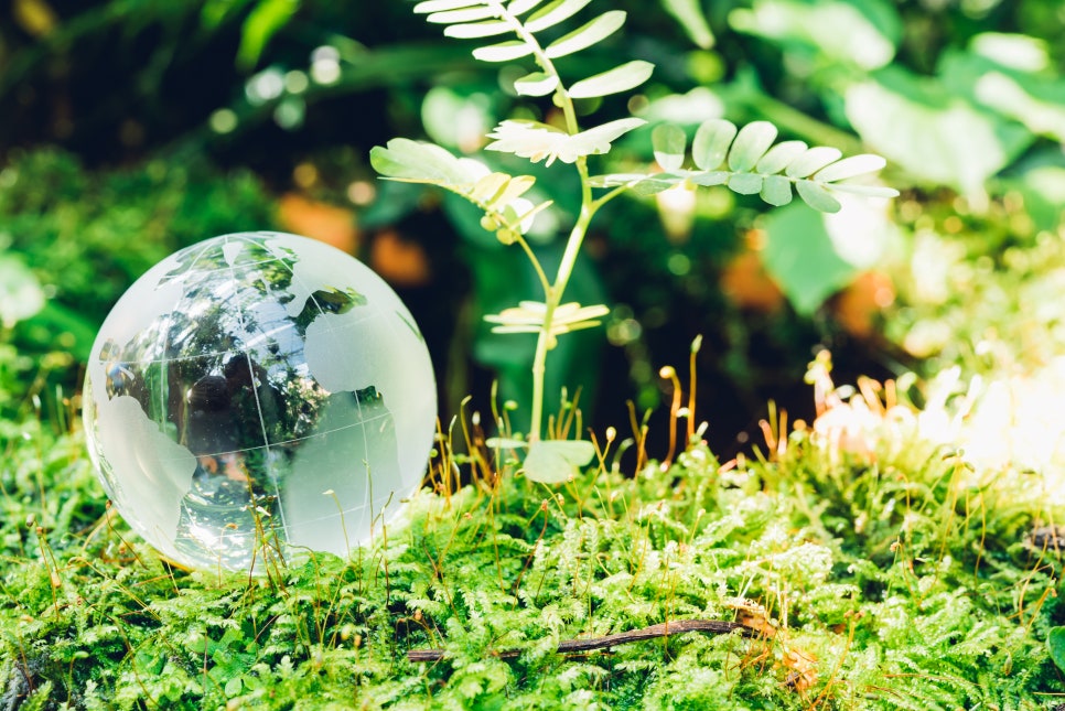 동광에너지 이미지