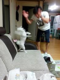 횡성댁 이미지