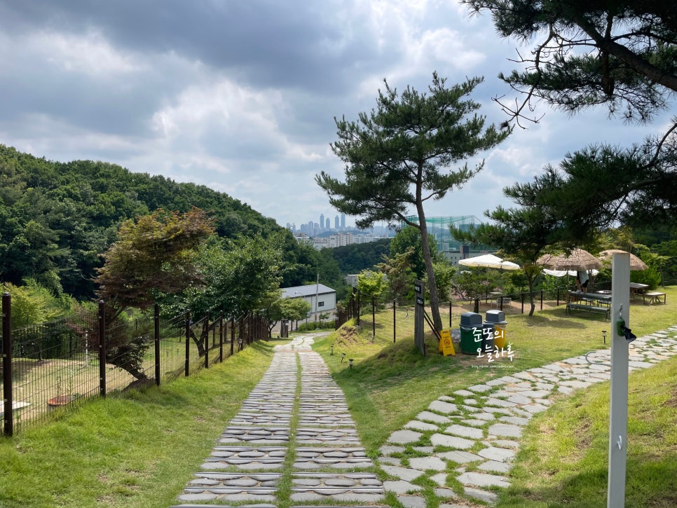 용인 기흥 애견카페 테일45, 5000평 대형견 운동장 후기 — 사진 8
