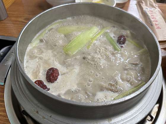 본가오리 이미지