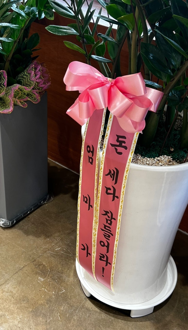 돗꽈비 이미지