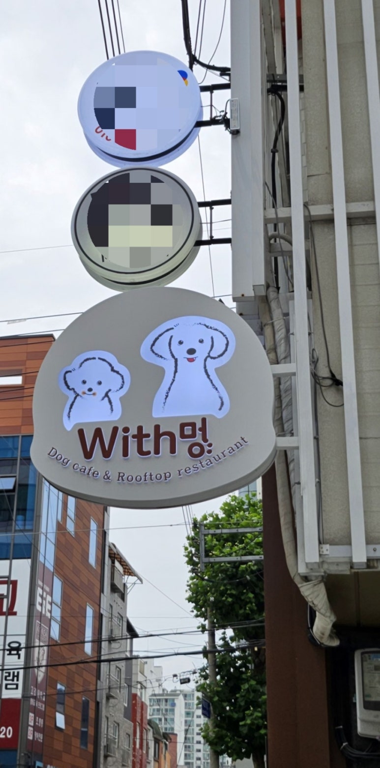 살롱드위드 이미지