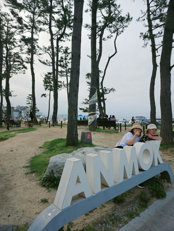 안목카페 이미지