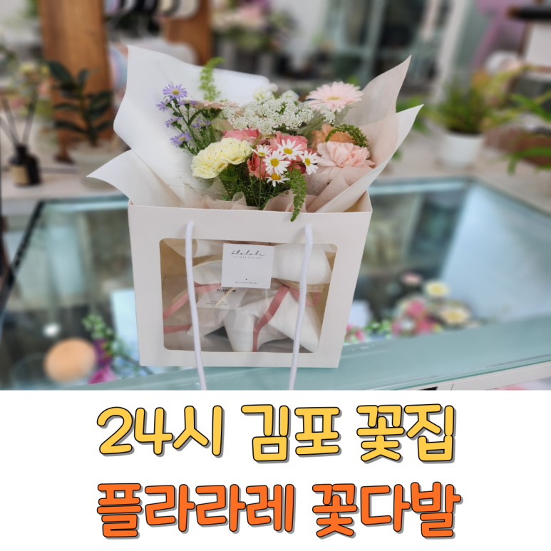 플라라레 이미지