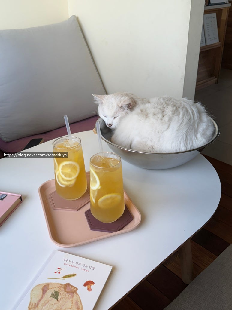 잠깐들를래 이미지