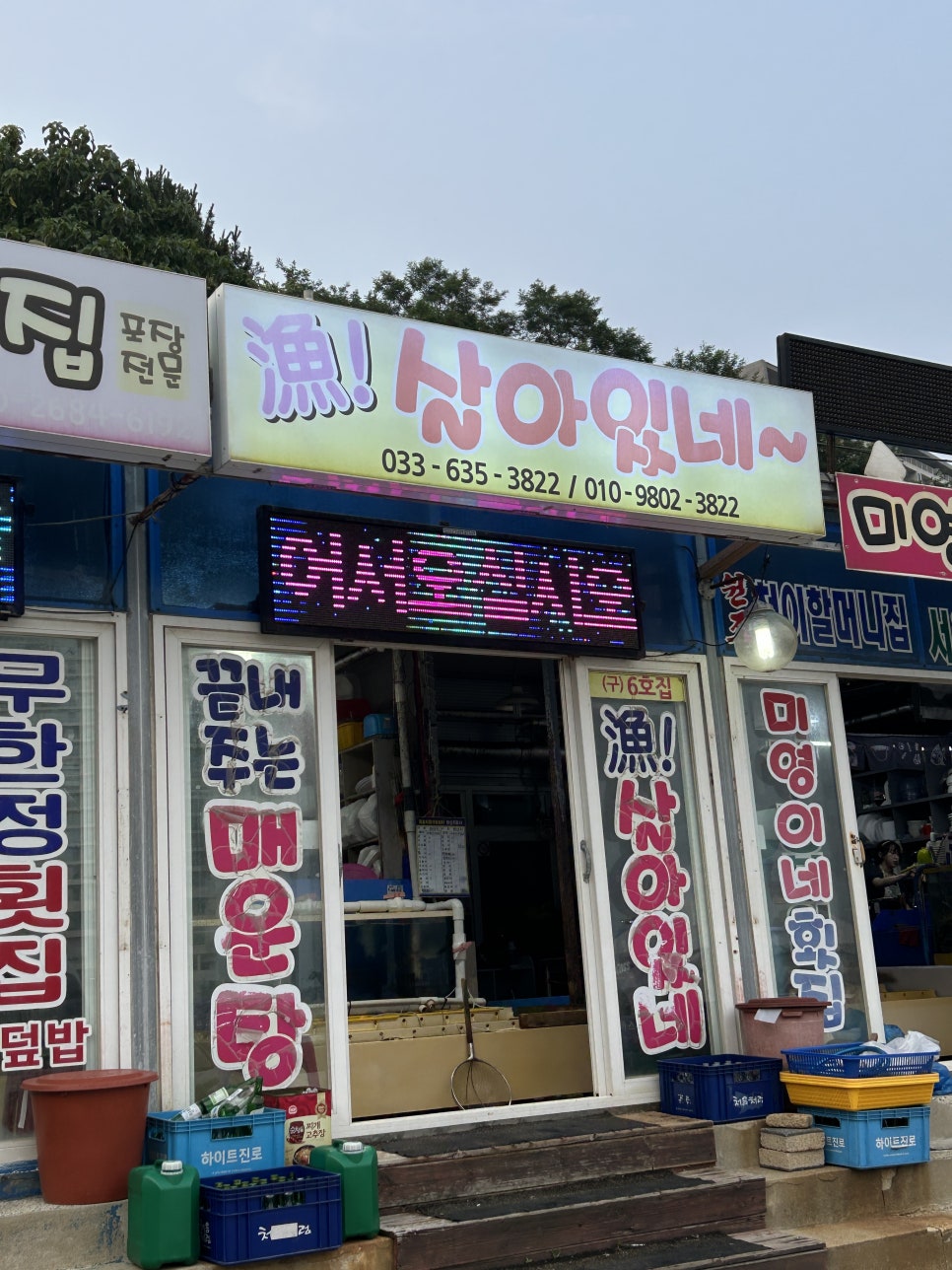 어살아있네 이미지