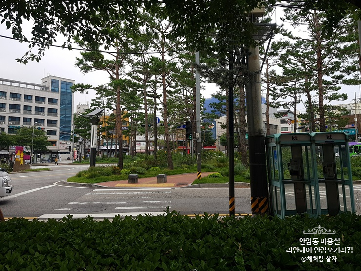 리안헤어안암 이미지