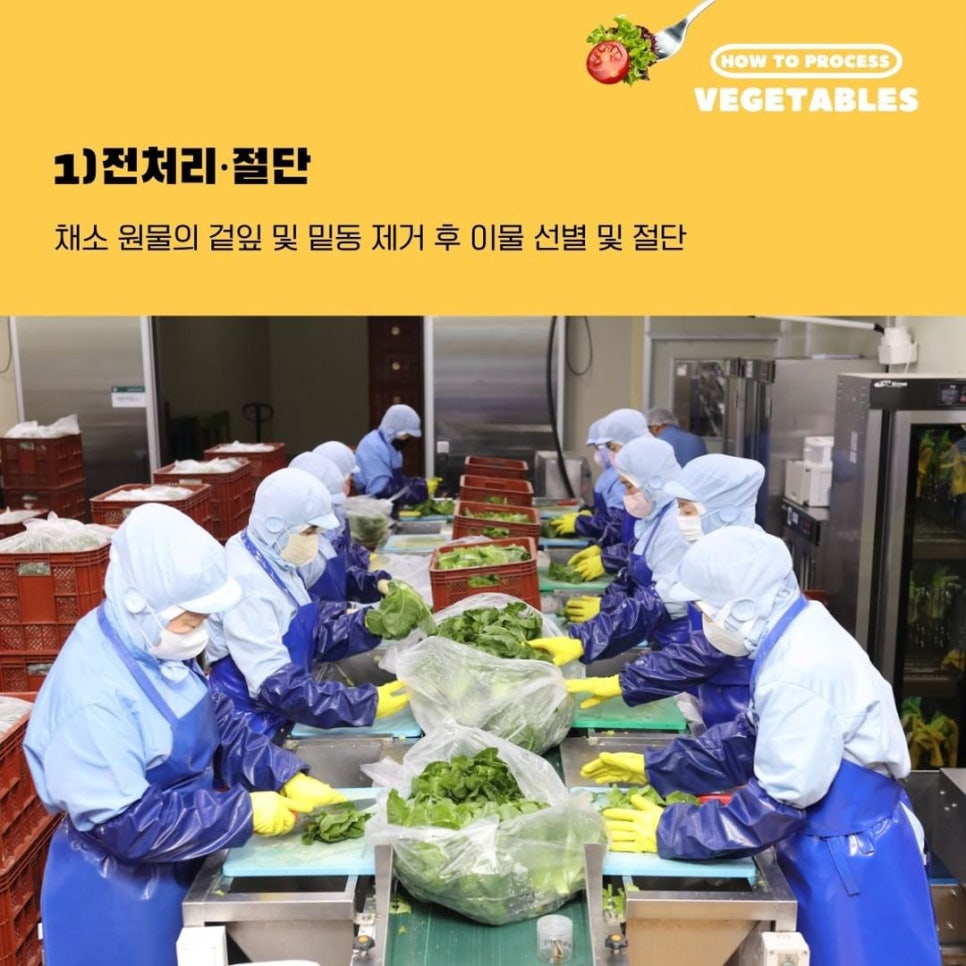 샐러디운서역점 이미지