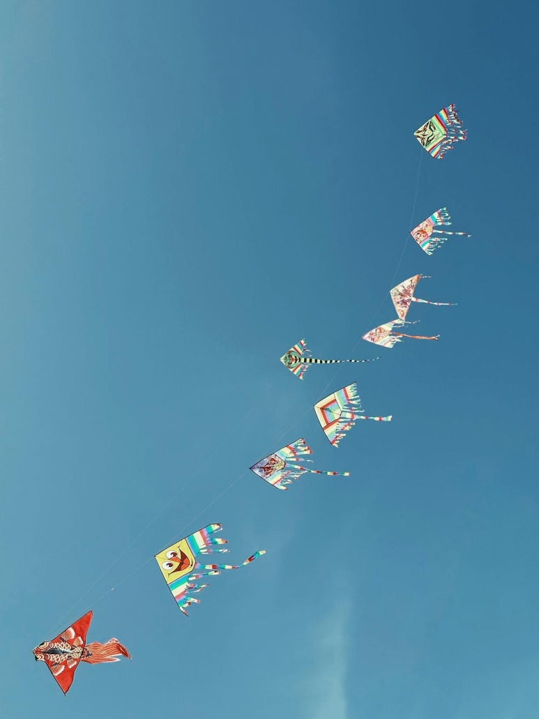 특별한당신에게 이미지