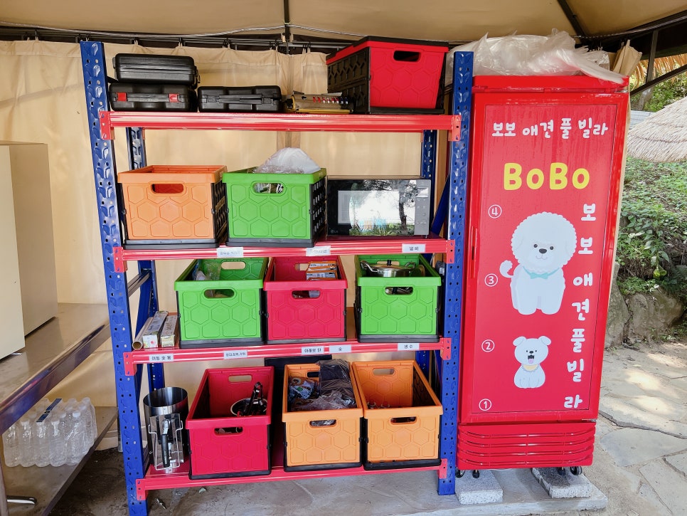 가평 애견 풀빌라 보보, 반려견과 신나는 물놀이 후기 — 사진 10