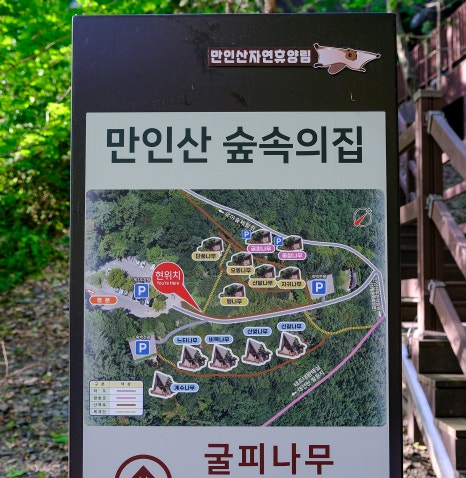 만인산 유아숲체험원 이미지