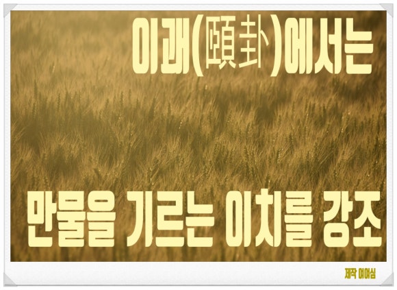 정이만물 이미지