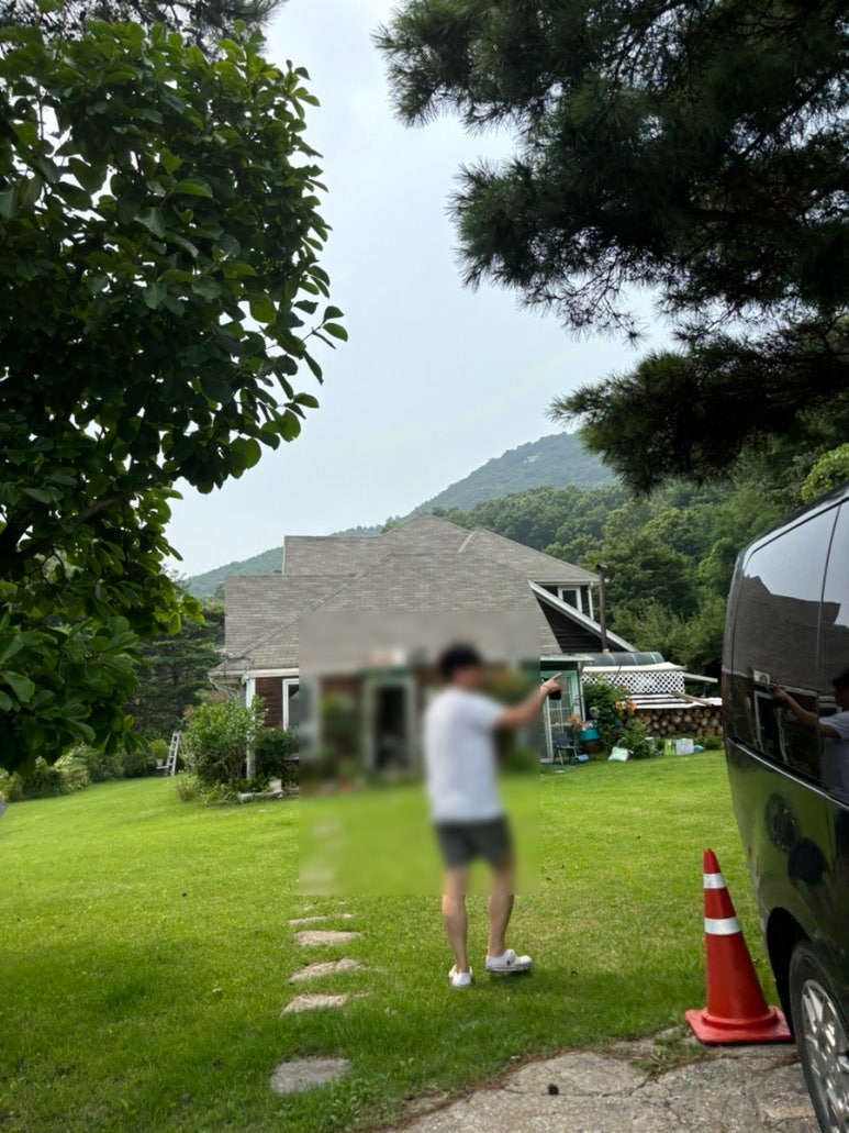 바다가그리운나무 이미지