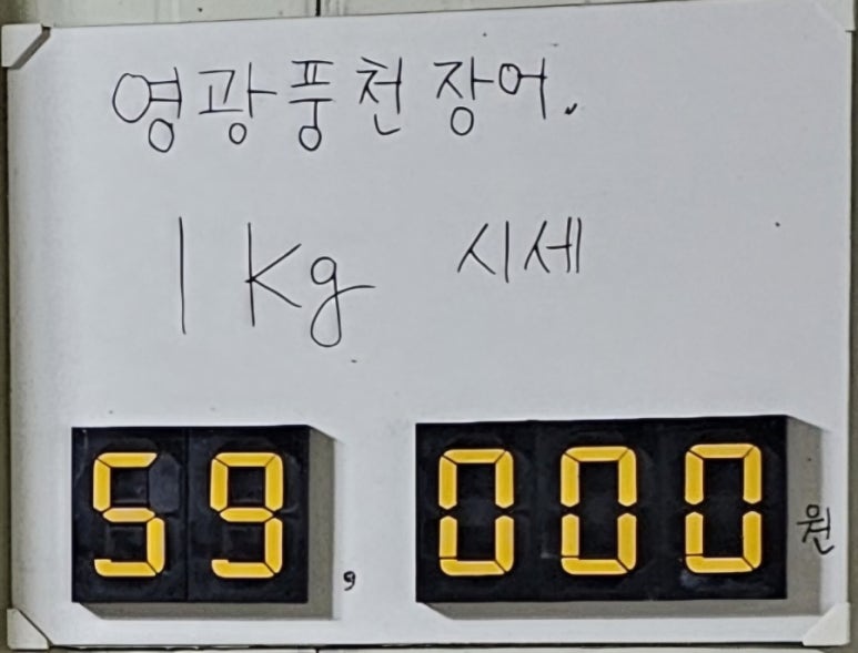 영광풍천장어 이미지