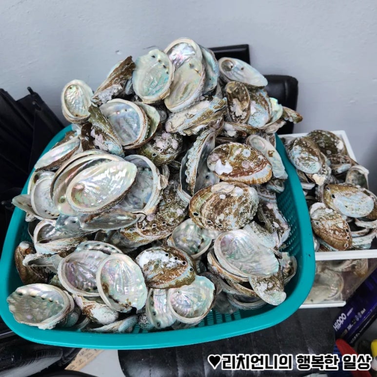 선아전복 이미지