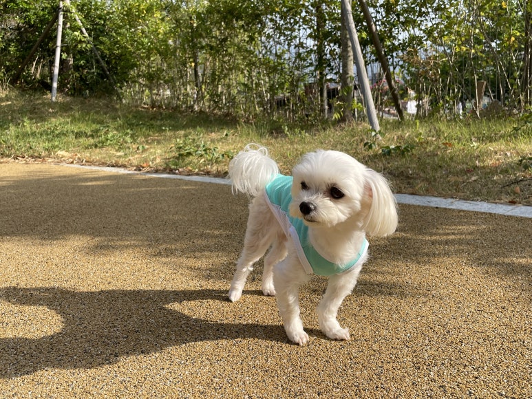 꽁이옷장 이미지