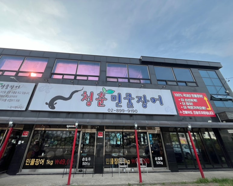 청춘민물장어 이미지