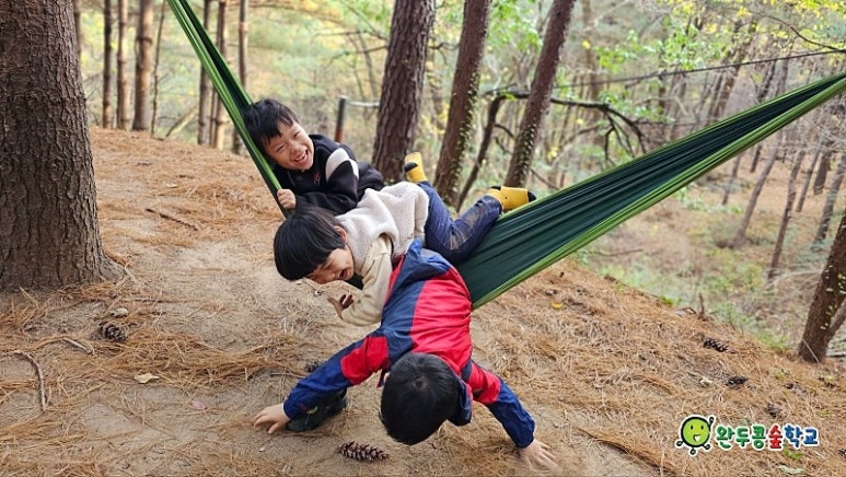 어울림숲학교 이미지