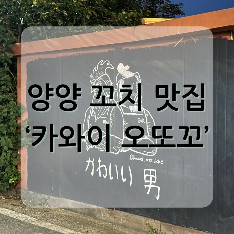 카와이 오또꼬 이미지