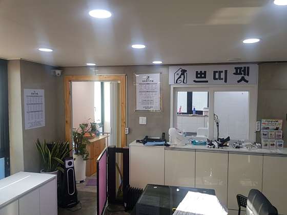 쁘띠펫 이미지