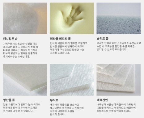 에버그린존 이미지