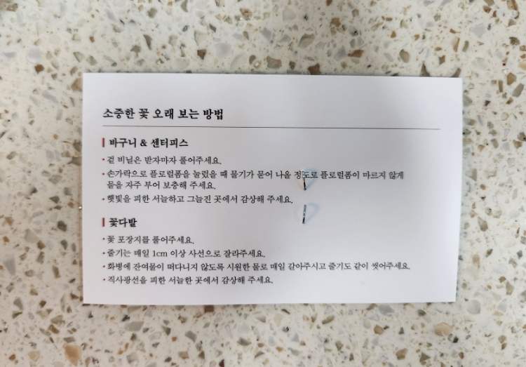 꽃;건네다 이미지