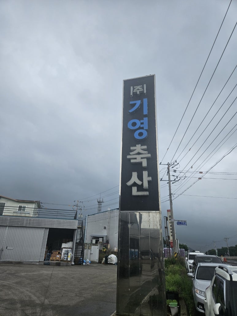 기영축산 이미지