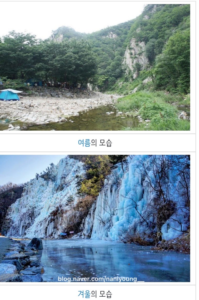 청송막창 이미지