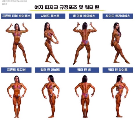 원데이피티 이미지