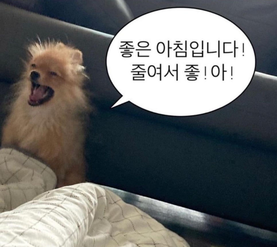 무화과한입 이미지