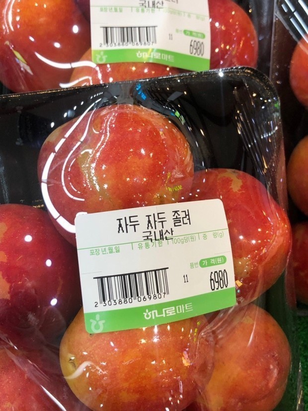 자두자두 이미지