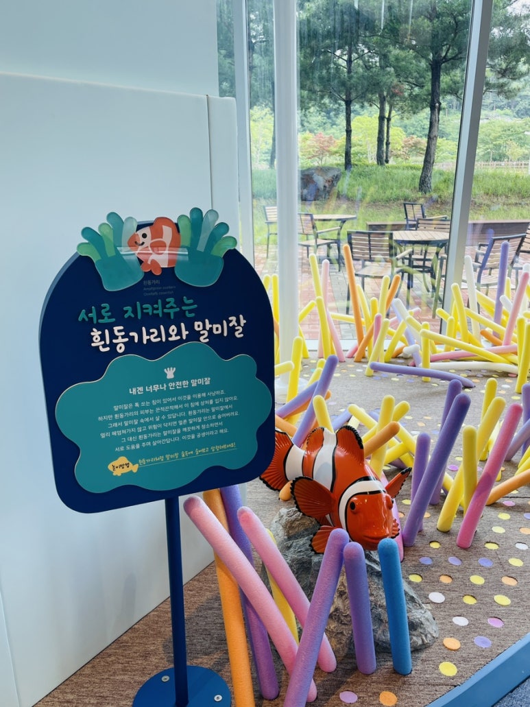 고래고래 이미지