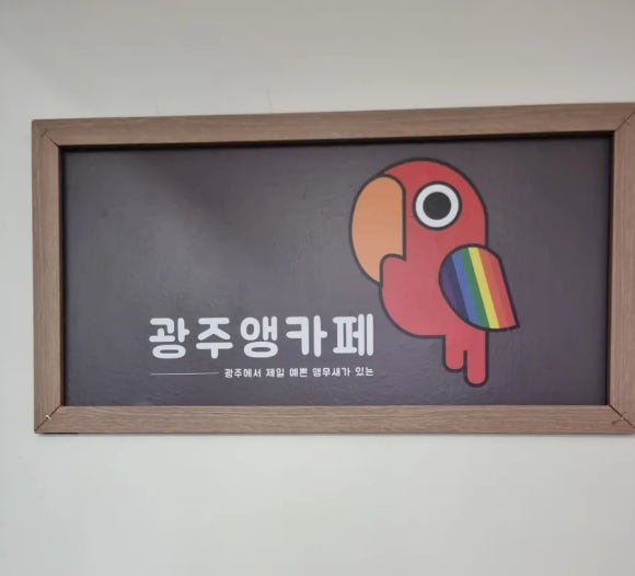 광주앵카페 이미지