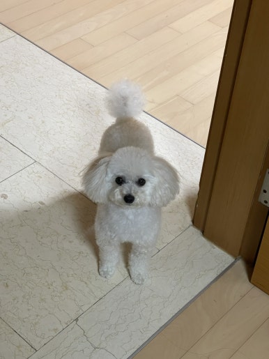 진지 이미지