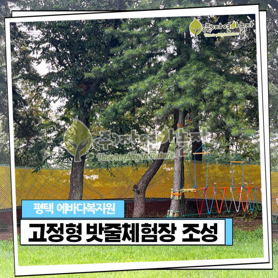 자놀자 이미지