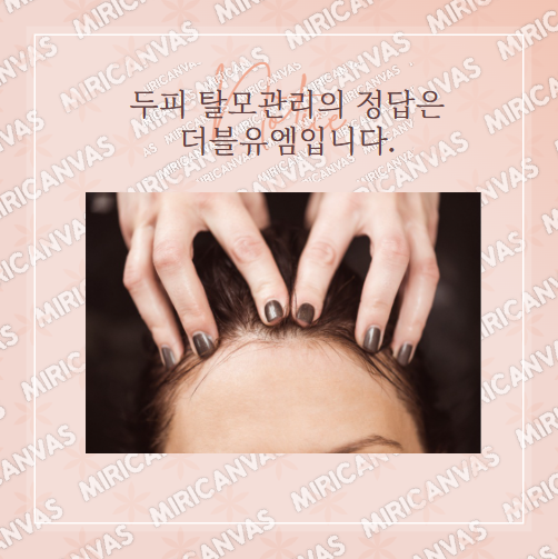 더블유엠헤어 이미지
