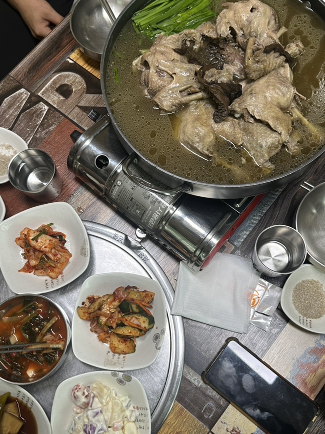 강변오리 이미지