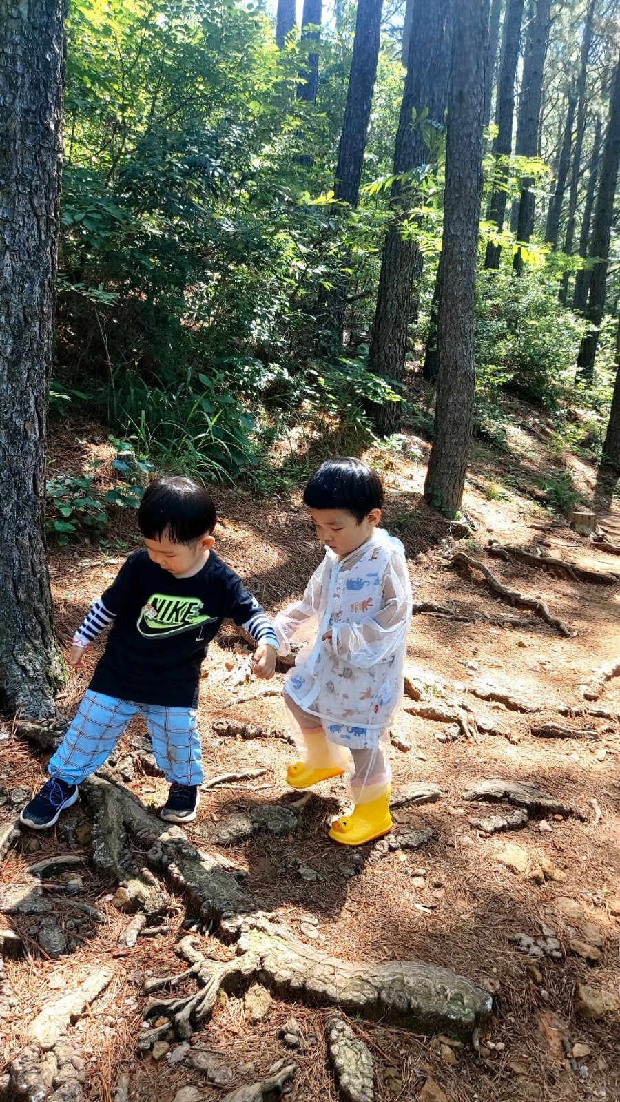 노벨어린이집 이미지