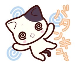 (주)케이티 이미지