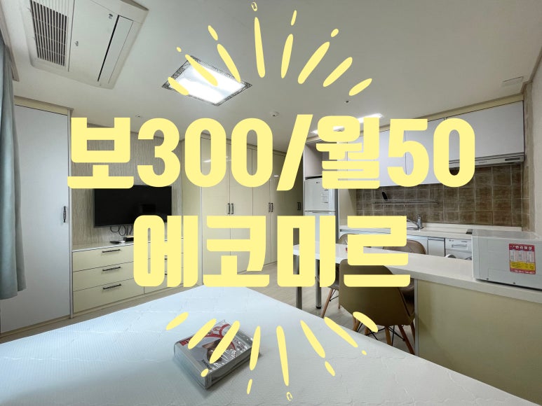 에코미르 이미지