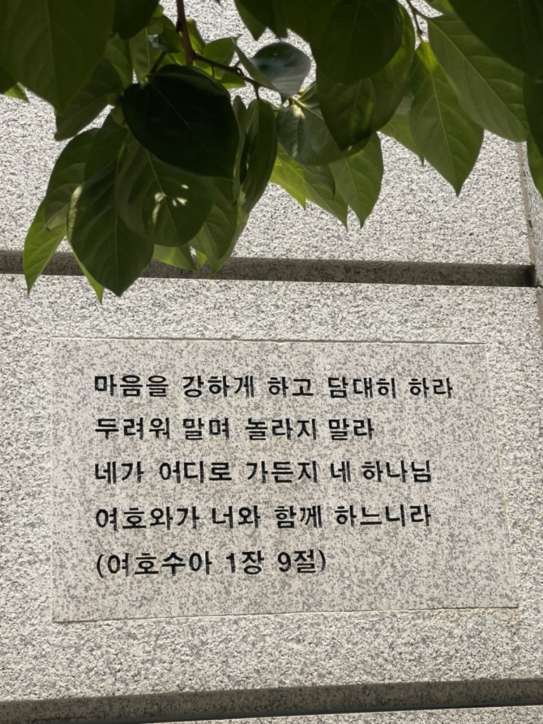 다현추어탕 이미지