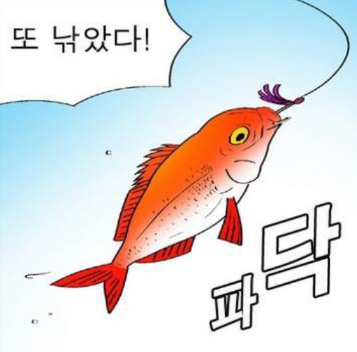 아가미 이미지
