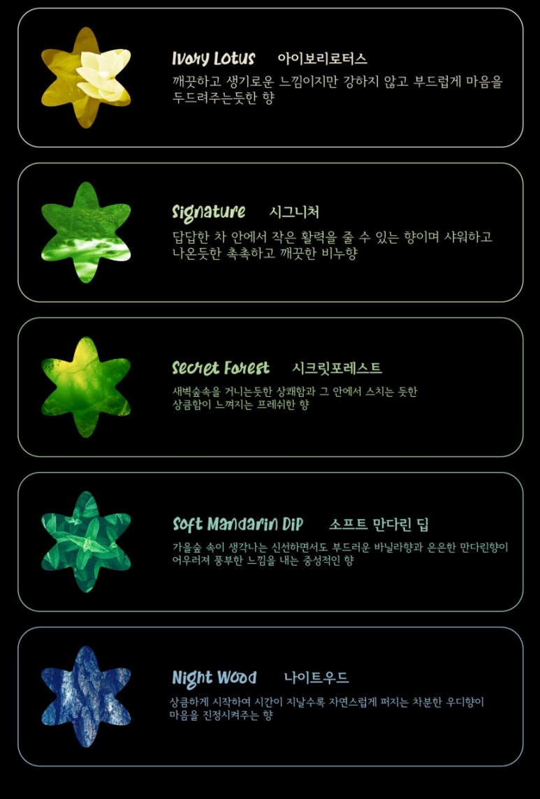플래트 이미지